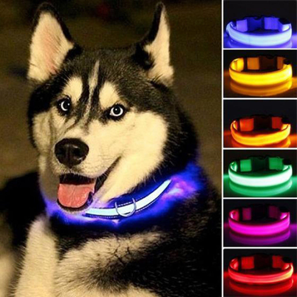 LED Nylon Dog Collar – Adjustable, Glow-in-the-Dark (2-Pack)