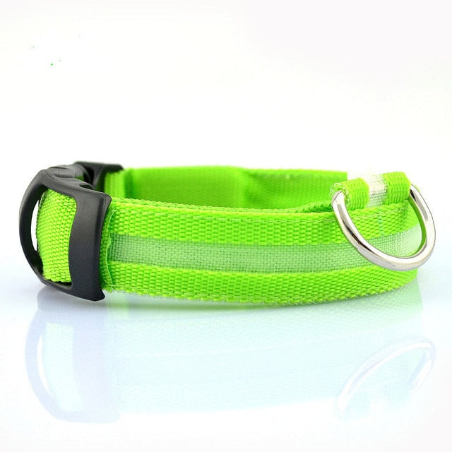 LED Nylon Dog Collar – Adjustable, Glow-in-the-Dark (2-Pack)