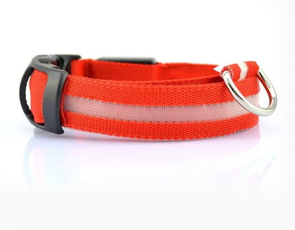 LED Nylon Dog Collar – Adjustable, Glow-in-the-Dark (2-Pack)