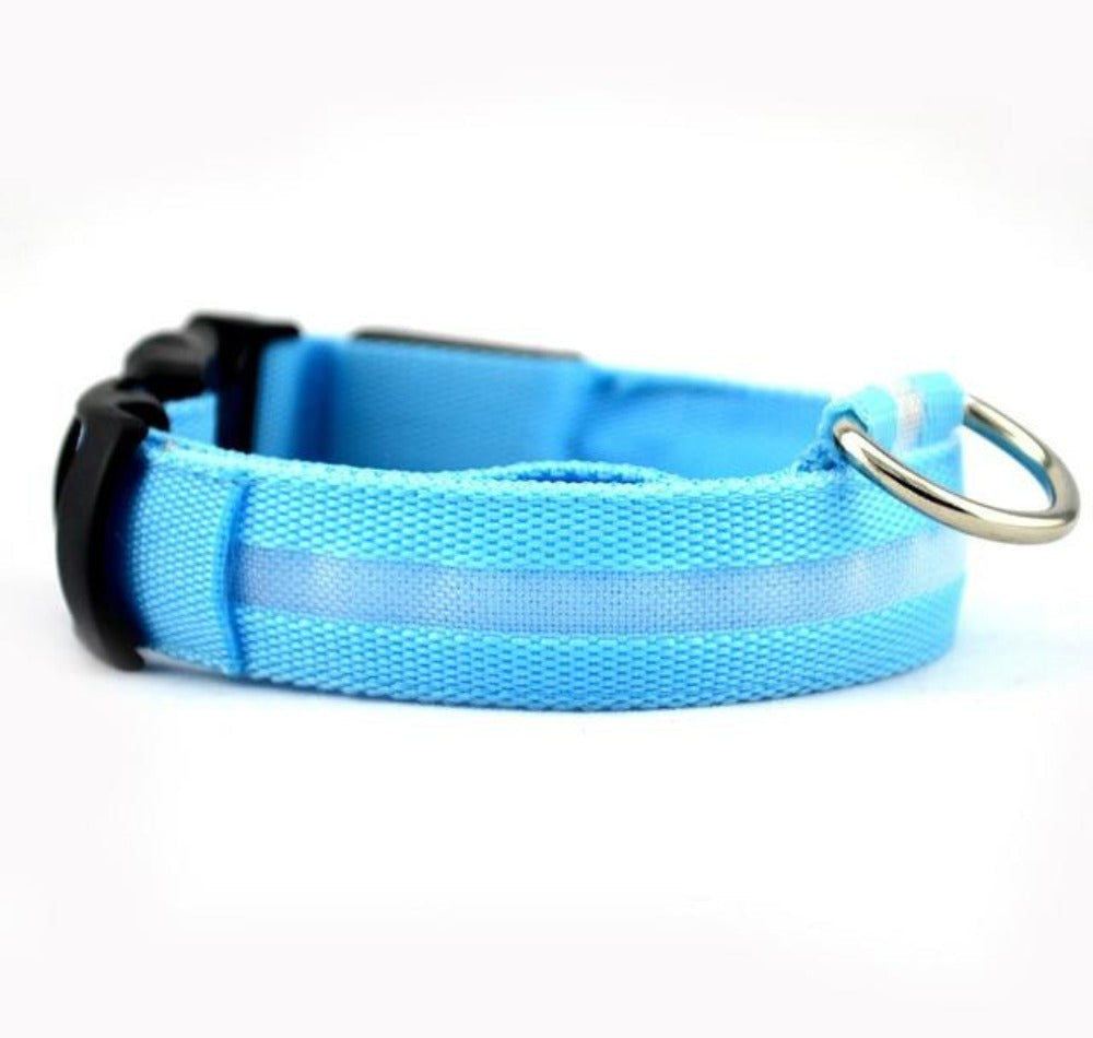 LED Nylon Dog Collar – Adjustable, Glow-in-the-Dark (2-Pack)
