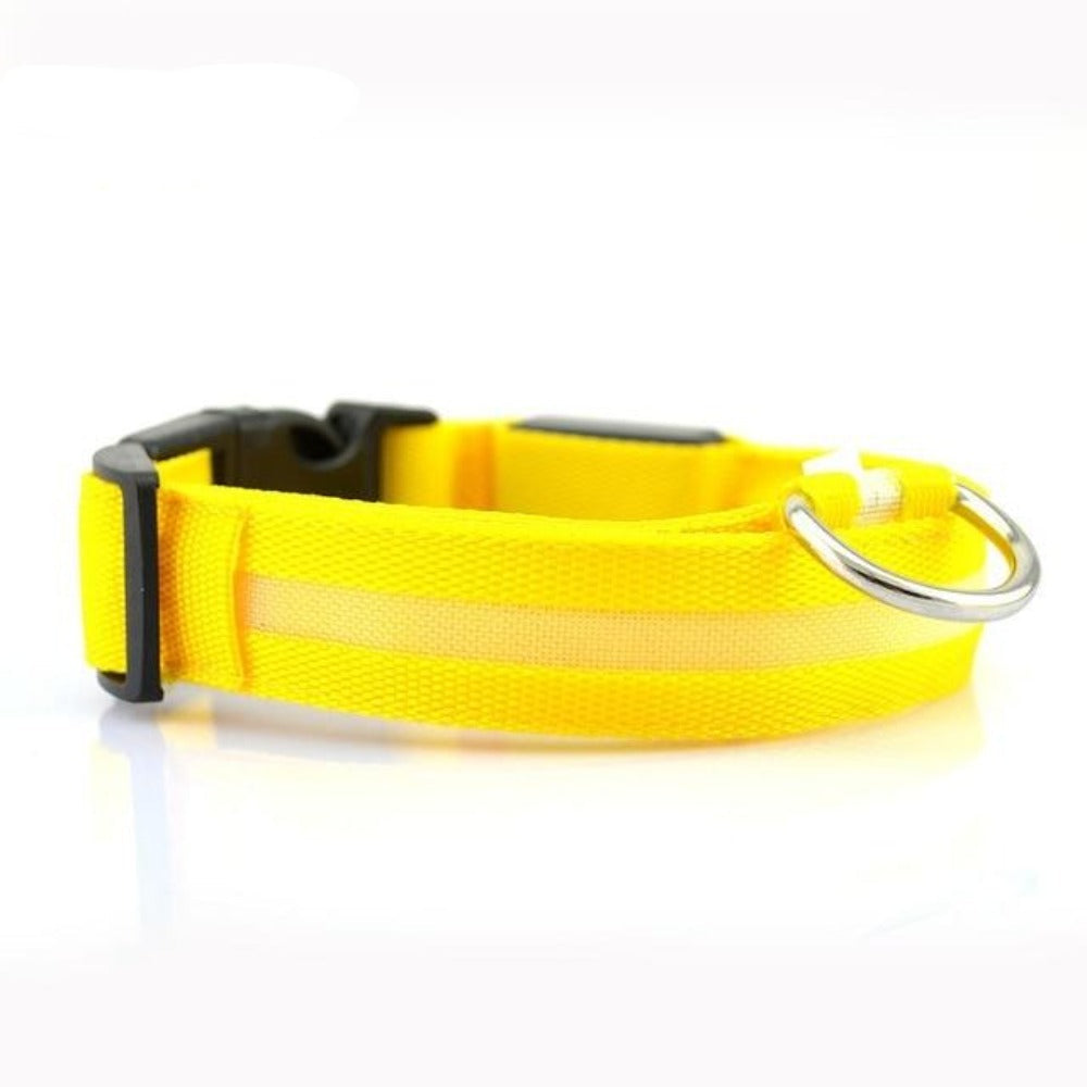LED Nylon Dog Collar – Adjustable, Glow-in-the-Dark (2-Pack)