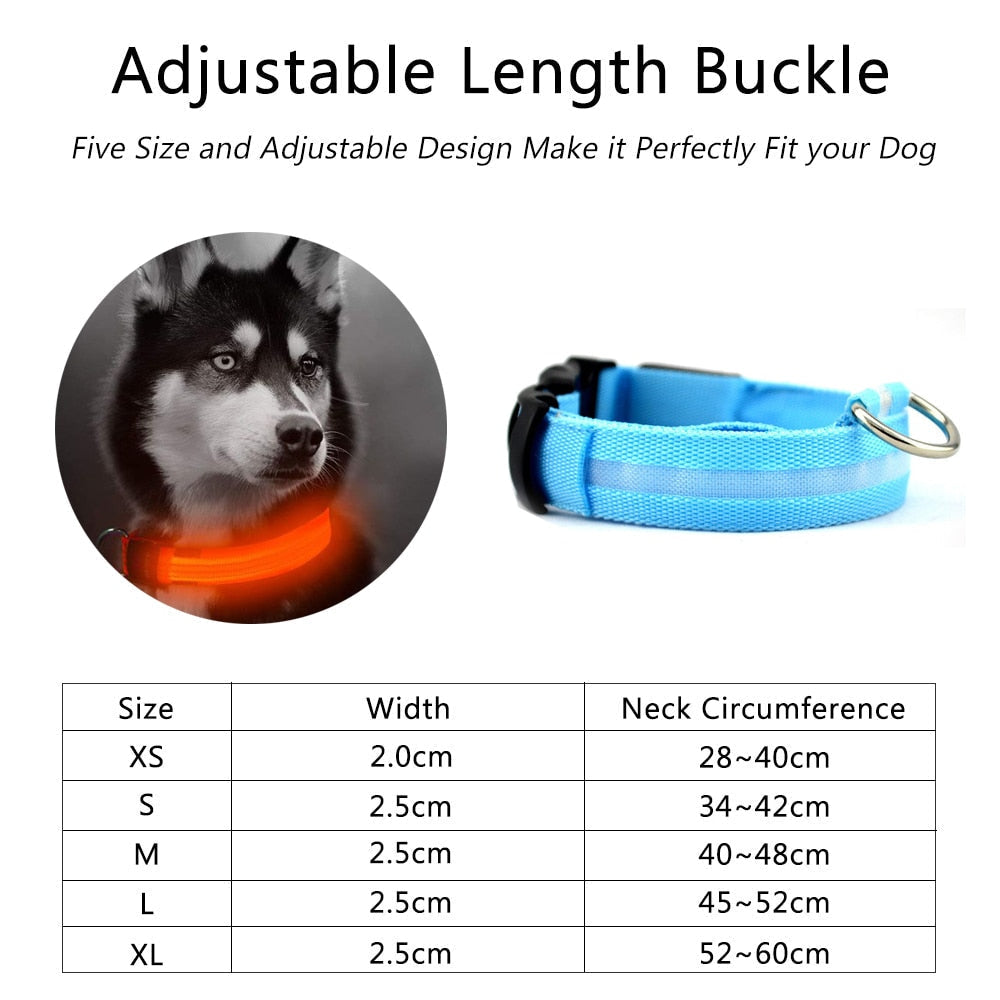 LED Nylon Dog Collar – Adjustable, Glow-in-the-Dark (2-Pack)